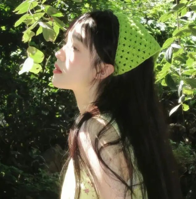 蔷薇处处香